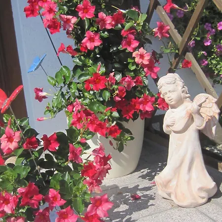 Penzion Erwachsenen Der Wieserhof Wunderschoene Einzellage